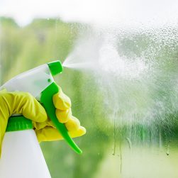 Window cleaning. A young woman sprays a cleaner on glass. Housework concept.